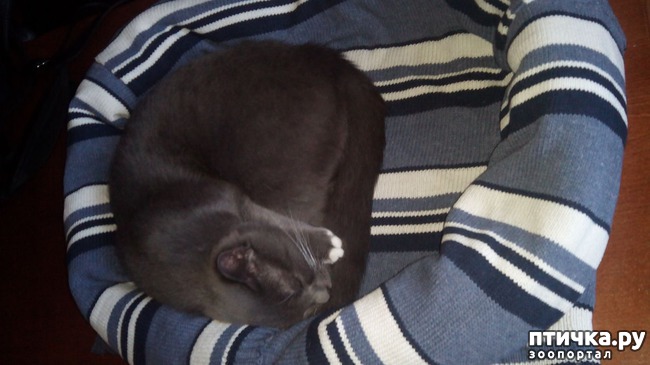 ���� 9: ������� ��� ������ ������ ������