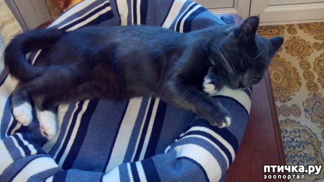 ���� 10: ������� ��� ������ ������ ������