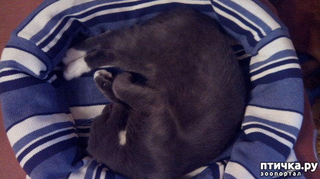 ���� 11: ������� ��� ������ ������ ������