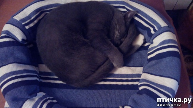 ���� 12: ������� ��� ������ ������ ������