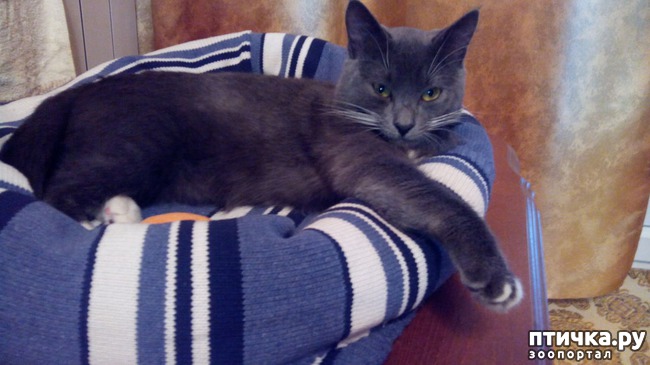 ���� 13: ������� ��� ������ ������ ������