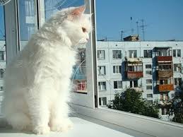 ���� 2: #�������� ������� ��� ������ ����