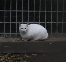 ���� 4: #�������� ������� ��� ������ ����