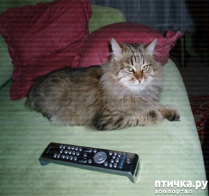 ����: #��� � ���������