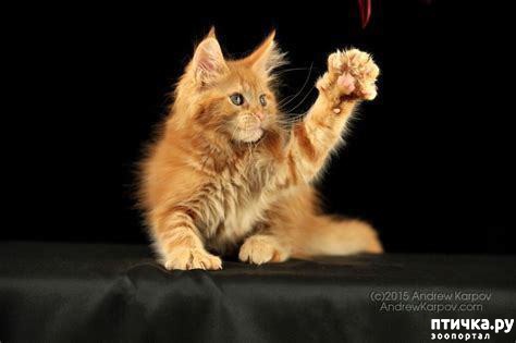 ���� 2: # ����� �������... �����������