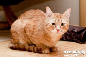 ����: #���� ����� �������