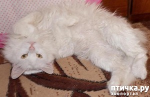 ����: #�������� ������� ��� ������ ����