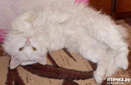 ���� 1: #�������� ������� ��� ������ ����