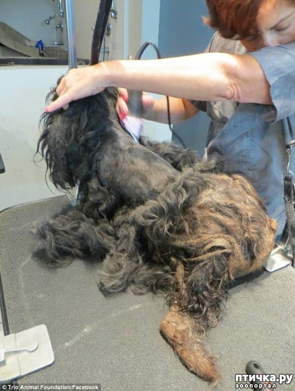 ���� 4: #��������� ������ ��������� ������� �� ��� �� �����, � ��� ���������� �� ��������������