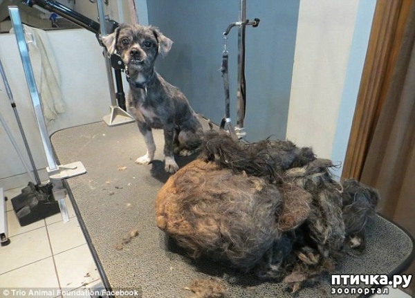 ���� 7: #��������� ������ ��������� ������� �� ��� �� �����, � ��� ���������� �� ��������������