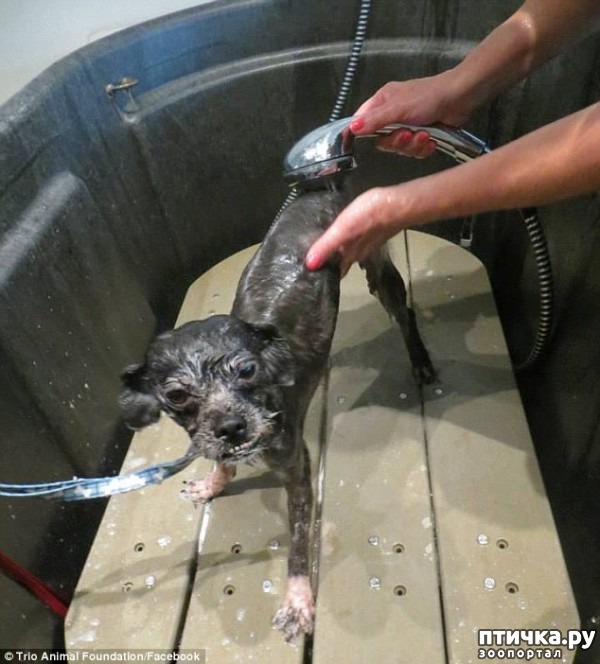 ���� 8: #��������� ������ ��������� ������� �� ��� �� �����, � ��� ���������� �� ��������������