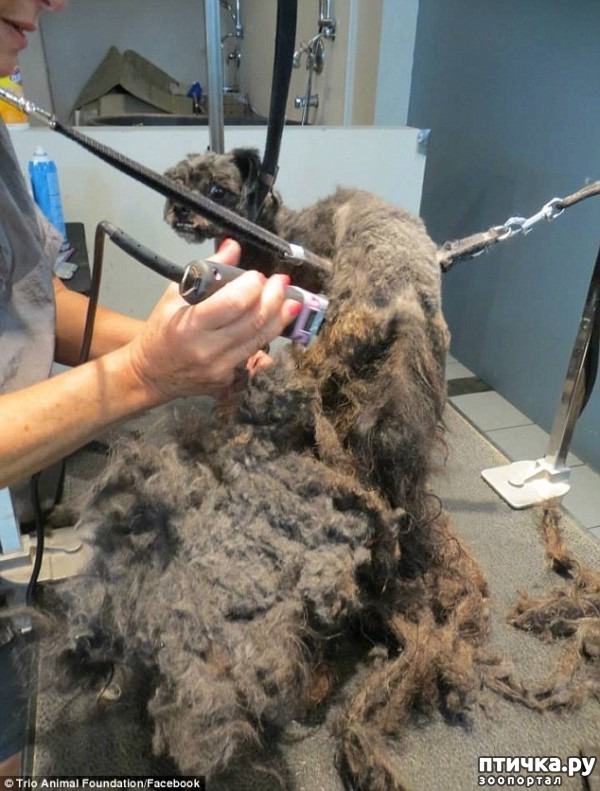 ���� 6: #��������� ������ ��������� ������� �� ��� �� �����, � ��� ���������� �� ��������������