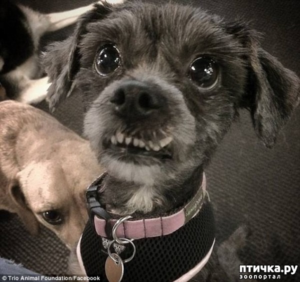 ���� 11: #��������� ������ ��������� ������� �� ��� �� �����, � ��� ���������� �� ��������������