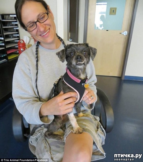 ���� 10: #��������� ������ ��������� ������� �� ��� �� �����, � ��� ���������� �� ��������������