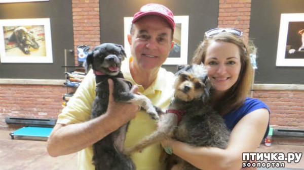 ���� 12: #��������� ������ ��������� ������� �� ��� �� �����, � ��� ���������� �� ��������������