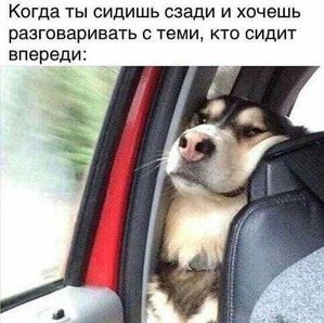 ����: ������� ����