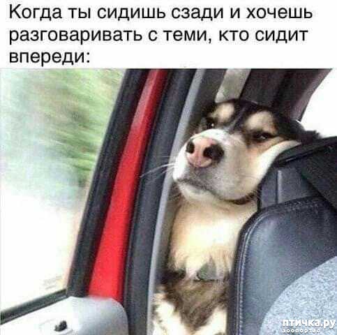 ���� 1: ������� ����