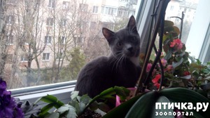 ����: � ������ ���� ����...