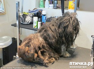 ����: #��������� ������ ��������� ������� �� ��� �� �����, � ��� ���������� �� ��������������