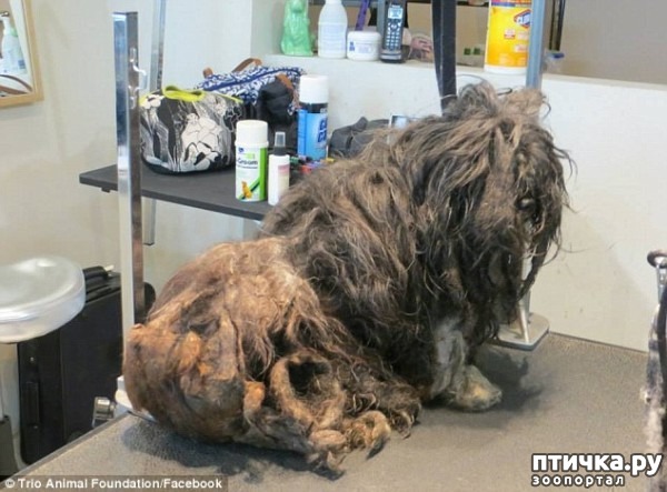 ���� 1: #��������� ������ ��������� ������� �� ��� �� �����, � ��� ���������� �� ��������������