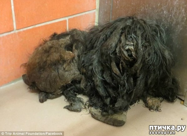 ���� 2: #��������� ������ ��������� ������� �� ��� �� �����, � ��� ���������� �� ��������������