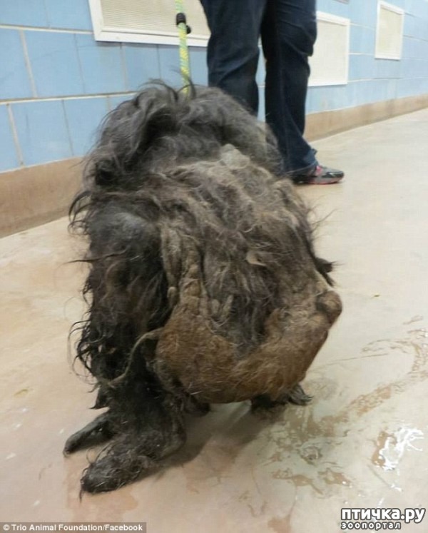 ���� 3: #��������� ������ ��������� ������� �� ��� �� �����, � ��� ���������� �� ��������������