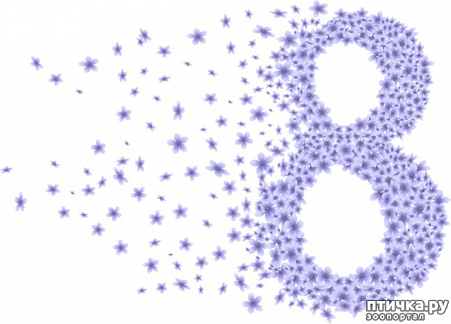 ���� 1: ����������� �� ���� 8 �����