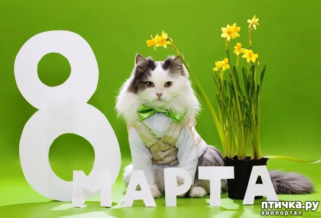 ���� 4: ����������� �� ���� 8 �����