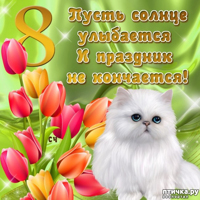 ���� 1: 8 �����