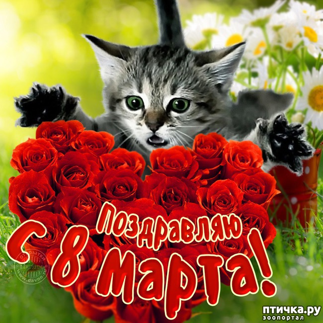 ���� 2: 8 �����