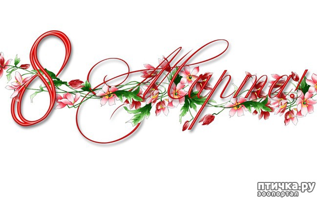 ���� 1: � ������������� ��������-�������� ������� �ͨ�!