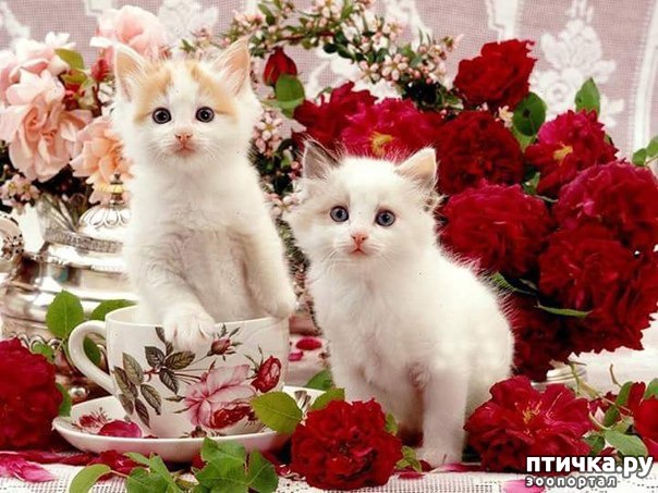 ���� 1: ������������!