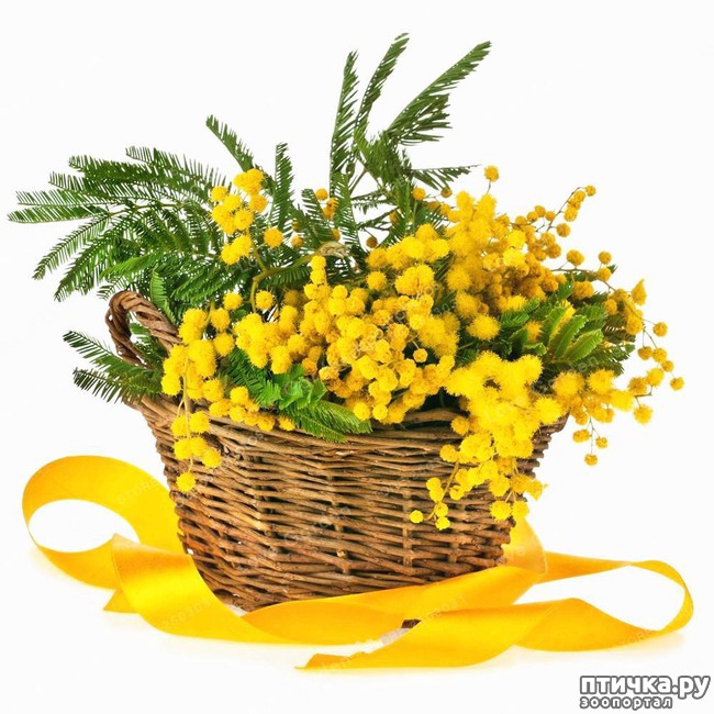 ���� 2: � ������������� ��������-�������� ������� �ͨ�!