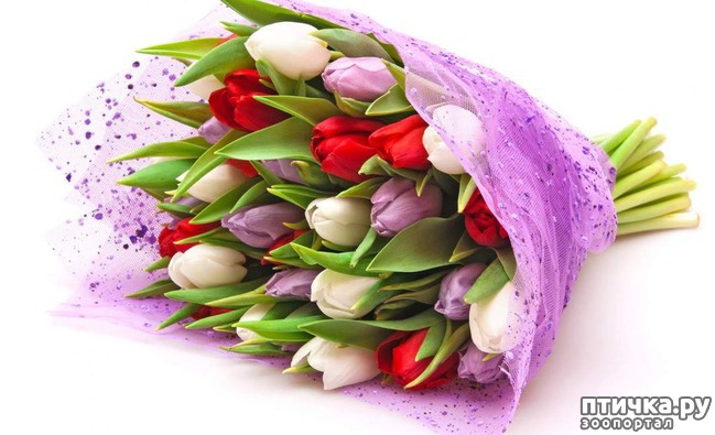 ���� 6: � ������������� ��������-�������� ������� �ͨ�!