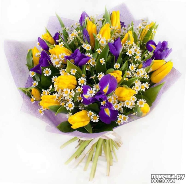 ���� 8: � ������������� ��������-�������� ������� �ͨ�!