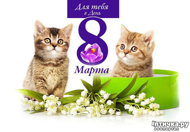 ���� 10: � ������������� ��������-�������� ������� �ͨ�!