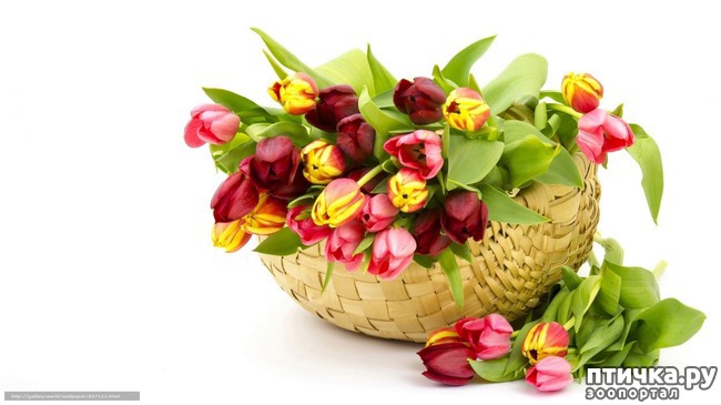 ���� 11: � ������������� ��������-�������� ������� �ͨ�!