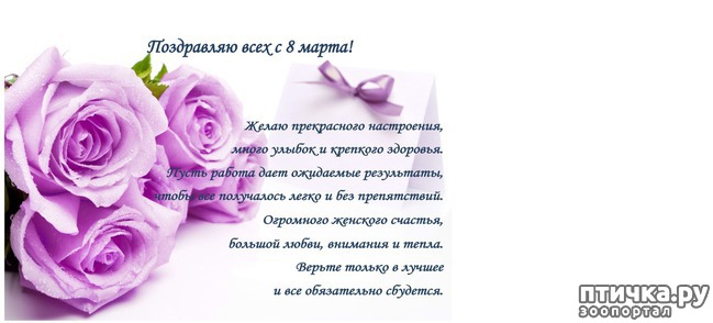 ���� 1: � ���������� 8 �����!