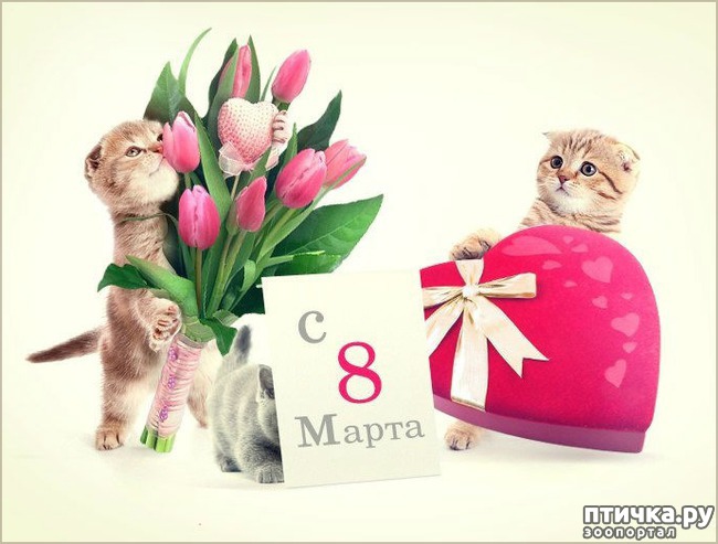 ���� 13: � ������������� ��������-�������� ������� �ͨ�!