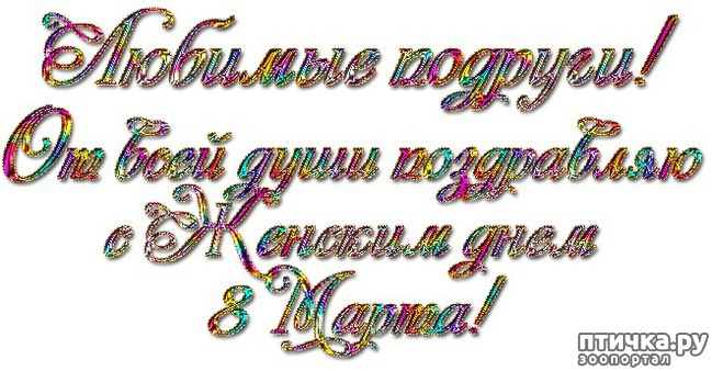 ���� 17: � ������������� ��������-�������� ������� �ͨ�!