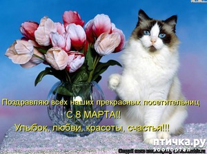 ����: �����������: ����� � 8 �����!!!