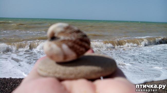 ���� 6: ������� ��������!