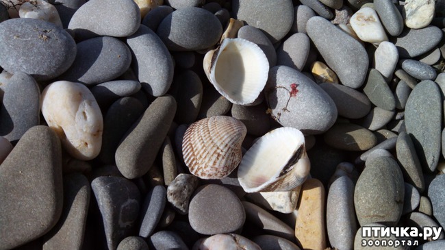 ���� 7: ������� ��������!