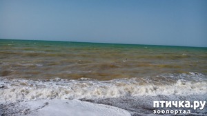 ����: ������� ��������!