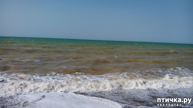 ���� 1: ������� ��������!