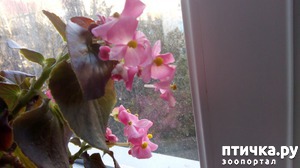 ����: ��� ��� ���� � ����...