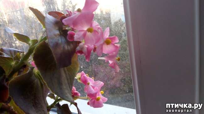 ���� 1: ��� ��� ���� � ����...