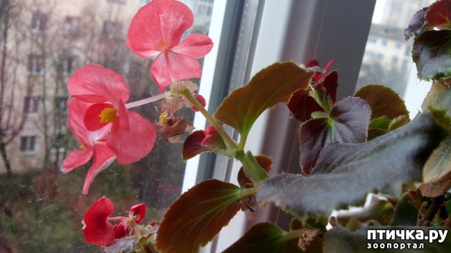 ���� 2: ��� ��� ���� � ����...