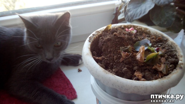 ���� 5: ��� ��� ���� � ����...