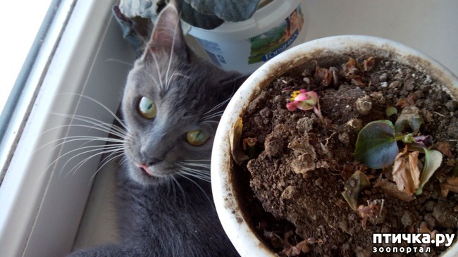 ���� 4: ��� ��� ���� � ����...